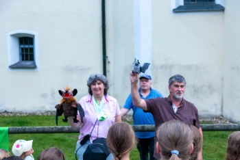 Großes Interesse an der diesjährigen Batnight im Lengenbachtal
